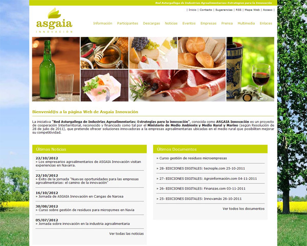 Portal Web de Asgaia Innovación - Edise Soluciones: diseño y desarrollo de páginas Web