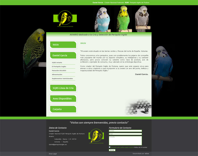 Página Web Periquito Inglés