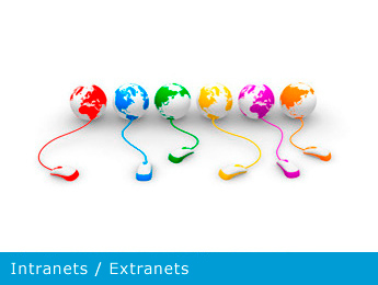 Intranets/Extranets